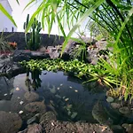Boutique Getaway Culture Nest * Yaiza (Lanzarote)