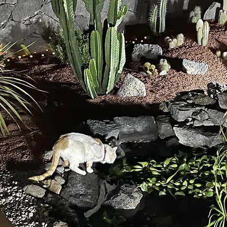 Sport & Culture Nest *