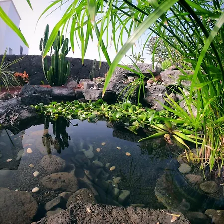 Sport & Culture Nest * Yaiza (Lanzarote)