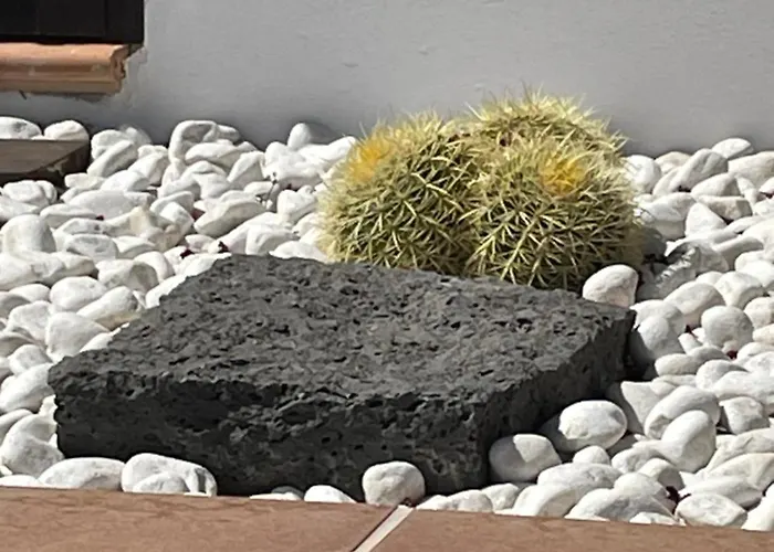 Sport & Culture Nest *