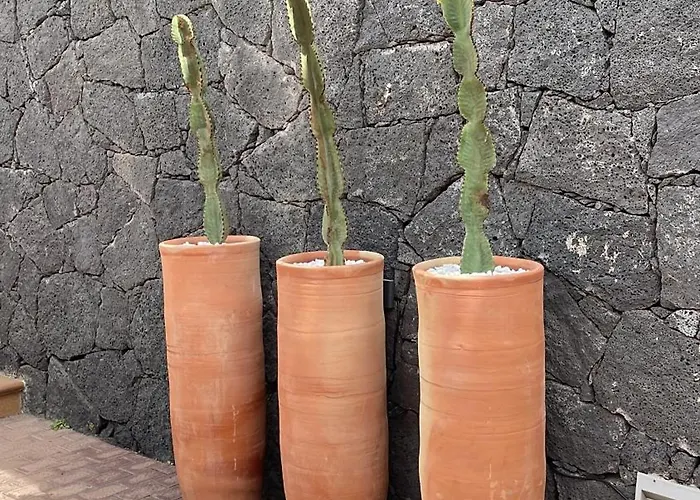 Sport & Culture Nest Villa *