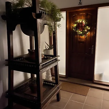 Sport & Culture Nest *