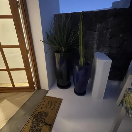 Sport & Culture Nest *