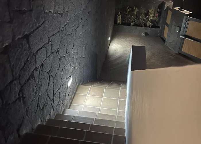 Willa Sport & Culture Nest