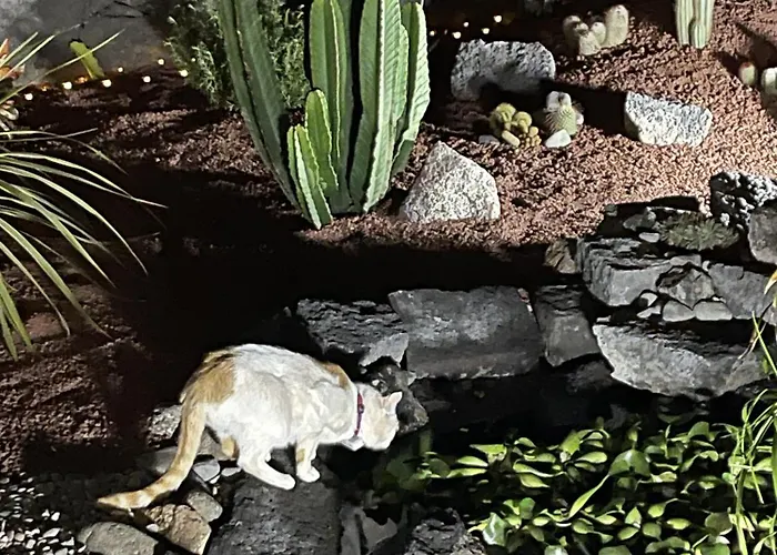 Sport & Culture Nest *