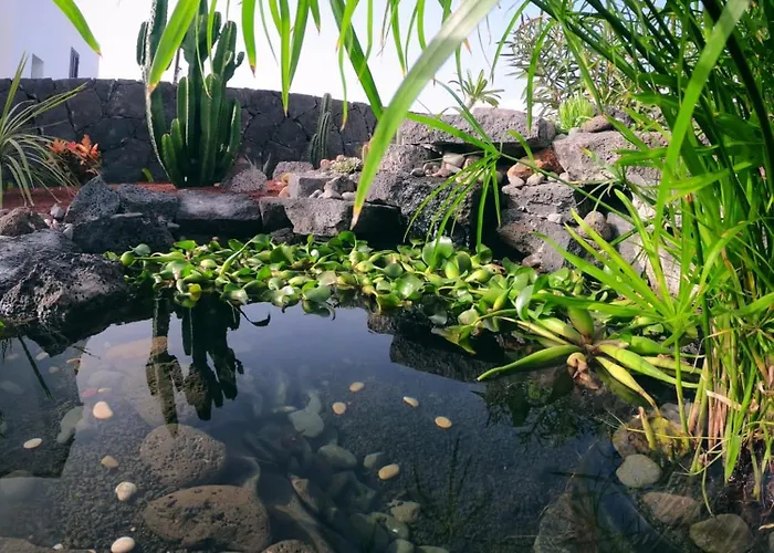 Sport & Culture Nest * Yaiza (Lanzarote)