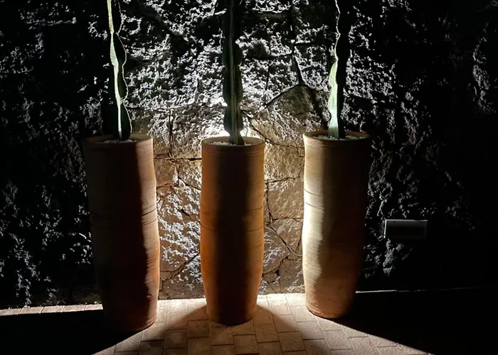 Sport & Culture Nest Willa