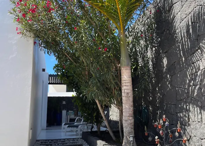 Sport & Culture Nest Willa *