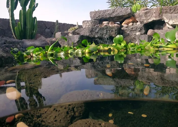 Sport & Culture Nest *