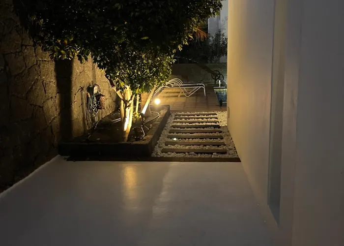 Sport & Culture Nest *