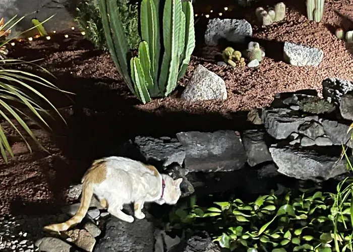 Sport & Culture Nest Willa *