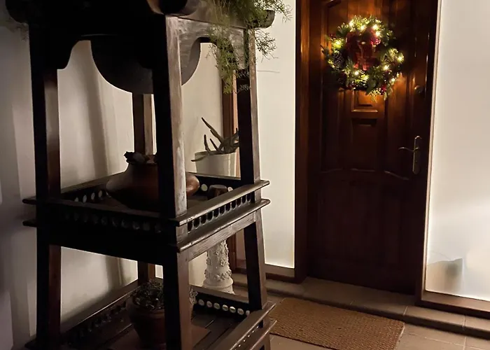 Sport & Culture Nest *