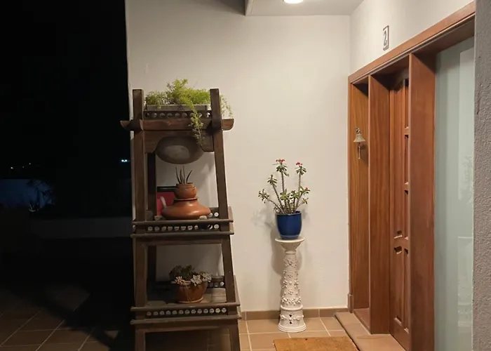 Sport & Culture Nest Villa